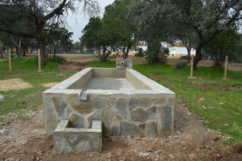 Paraje de Los Arroyones Fuente Palmera Córdoba